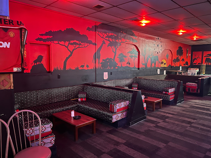 BIDZ Token and Safari Hookah Partnership Banner